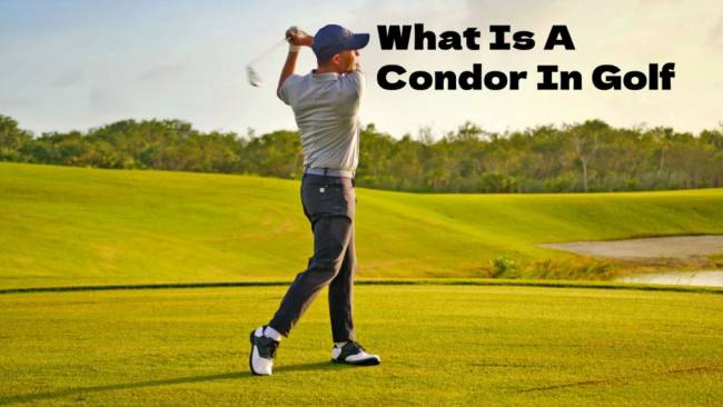 What is a Condor in Golf